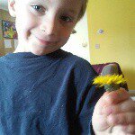 eileen hatch watson - @eileenhatchwatson - Instagram