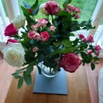 Eileen Hawkins - Facebook
