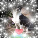 Eileen Hawkins - Facebook