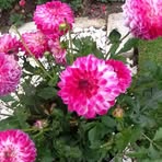 Eileen Heath - Facebook