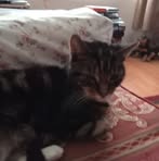 Eileen Heath - Facebook