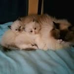 Eileen Heathorn - @eileenheathorn - Instagram