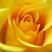 Eileen Hemphill - Facebook