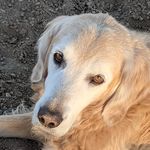 Eileen Henderson - @henderson520 - Instagram