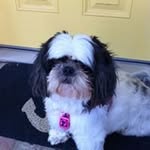 Eileen Hendrickson - @hendrickson.eileen - Instagram