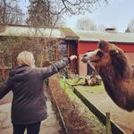 Eileen Hendricks - @american_girl_livingin_germany - Instagram