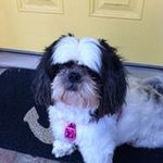 Eileen Hendrickson - @hendrickson.eileen - Instagram