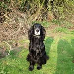Eileen Hendry - @ea.hen - Instagram