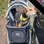 Eileen Hendry - Facebook