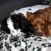 Eileen Henning - Facebook