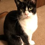 Eileen Herman - @eileenherman2175 - Instagram