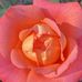 Eileen Herrick - Facebook