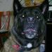 Eileen Hesch - Facebook