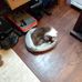 Eileen Hibbert-Penney - Facebook