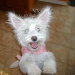 Eileen Hicks - @eileenhicks1151 - Instagram