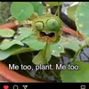 Eileen Hidalgo - @eileen.hidalgo - TikTok