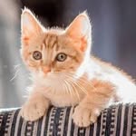 Eileen Hoffman - @profhoff38 - Instagram