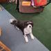 Eileen Holbrook - Facebook