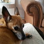 Eileen Holbrook - @eil9589 - Instagram