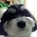 Eileen Holbrook - Facebook