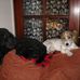 Eileen Holbrook - Facebook