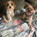Eileen Holcomb - Facebook
