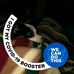 Eileen Holderbaum - Facebook