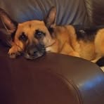 Eileen Holgate - Facebook