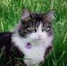 Eileen Holmes - Facebook