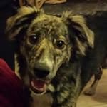 Eileen Hochholzer - @eileenhochholzer - Instagram