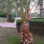 Eileen Hornemann - @eileenhornemann - Instagram