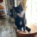Eileen Hotham - Facebook