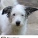 Eileen House - Facebook