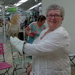 Eileen Howe - @eileen.howe.948 - Instagram