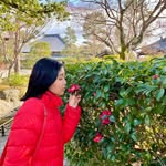 Eileen Hsu - @eileenhsu9 - Instagram