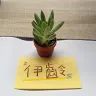 Eileen Hsu - @2168356088 - TikTok