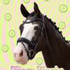 Crazymares - @eileenhupp - TikTok