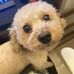 Eileen Hurley - Facebook