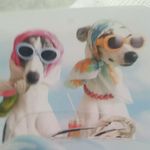 Eileen Hurley - @eileenhurley38 - Instagram