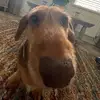 Eileen Hurley - @eileen.hurley6 - TikTok