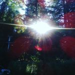 EILEEN - @eileenhynes1 - Instagram