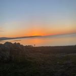 Eileen Mills - @eileen.hynes - Instagram