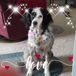 Eileen Irish - @eileen.irish.9 - Instagram
