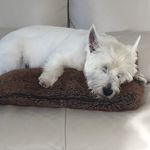eileen irish - @eileenirish2402 - Instagram