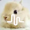 IrishEileen - @irisheileen - TikTok