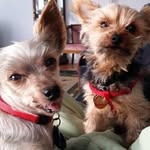 Eileen Irwin - @hacogeh880 - Instagram