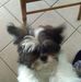 Eileen Irwin - Facebook