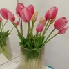 Eileen Irwin - @eileen.irwin - TikTok