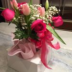 Eileen Kavanagh - @katesysmom - Instagram