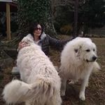 Eileen Mirojnick Kaye - @emiroj - Instagram